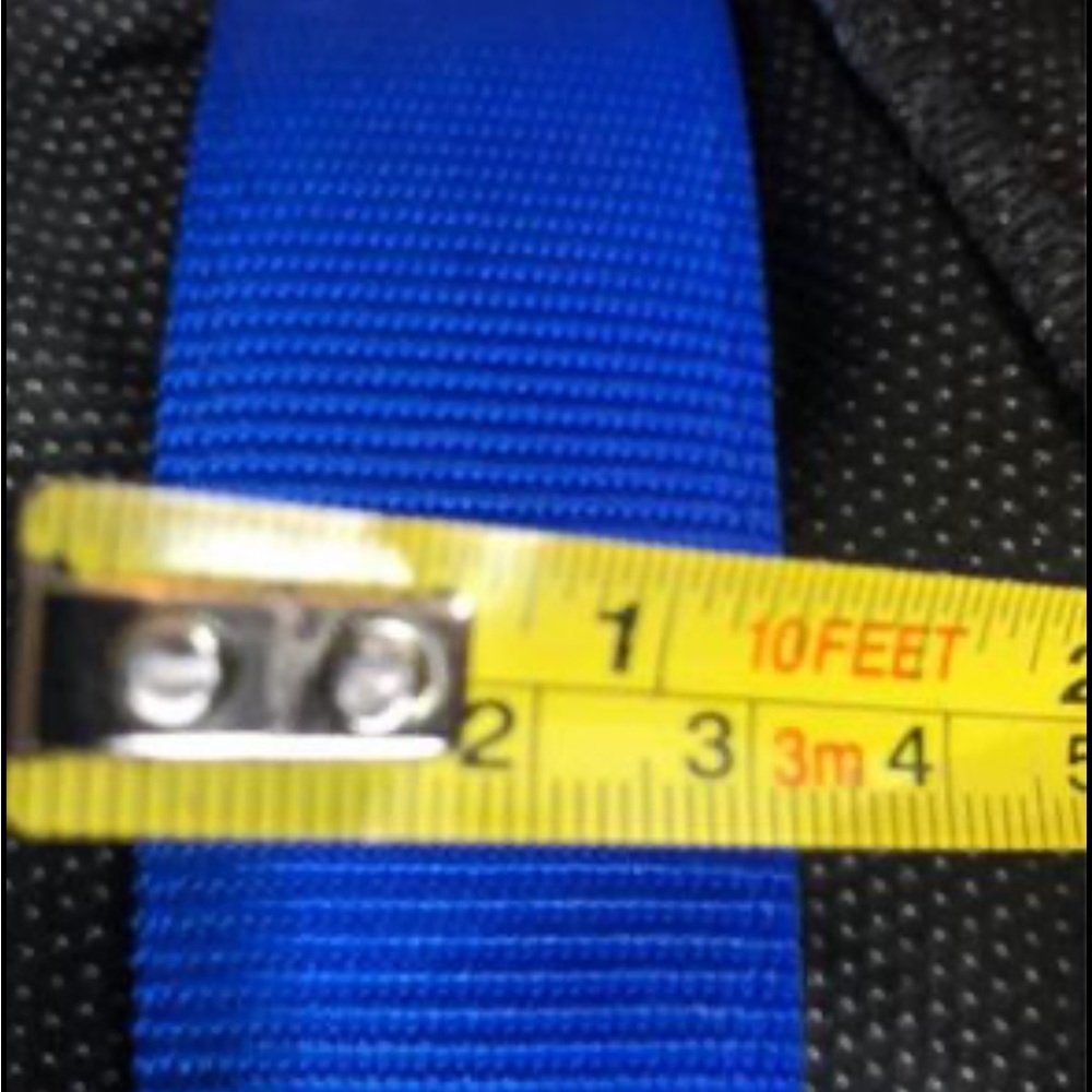 Extra Large & Wide Dog Collar - NWT in a beautiful blue colour - Picture 4 of 4
